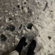 ヒメ日記 2025/02/05 11:50 投稿 うさぎ マットDEY-jo（マット・デ・ワイジョ）