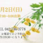 ヒメ日記 2025/02/24 11:59 投稿 うさぎ マットDEY-jo（マット・デ・ワイジョ）