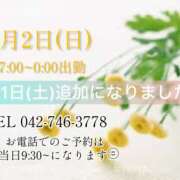 ヒメ日記 2025/02/28 11:26 投稿 うさぎ マットDEY-jo（マット・デ・ワイジョ）