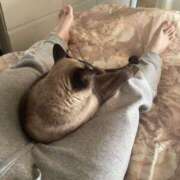 ヒメ日記 2025/03/08 11:47 投稿 うさぎ マットDEY-jo（マット・デ・ワイジョ）