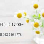 ヒメ日記 2025/03/25 10:23 投稿 うさぎ マットDEY-jo（マット・デ・ワイジョ）