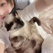 ヒメ日記 2025/03/29 12:50 投稿 うさぎ マットDEY-jo（マット・デ・ワイジョ）