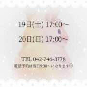 ヒメ日記 2025/04/14 03:44 投稿 うさぎ マットDEY-jo（マット・デ・ワイジョ）