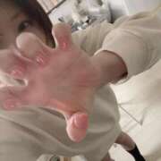 ヒメ日記 2025/04/26 14:07 投稿 うさぎ マットDEY-jo（マット・デ・ワイジョ）