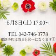 ヒメ日記 2025/04/28 12:32 投稿 うさぎ マットDEY-jo（マット・デ・ワイジョ）