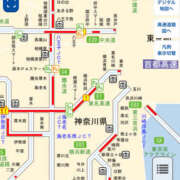 ヒメ日記 2025/05/03 10:56 投稿 うさぎ マットDEY-jo（マット・デ・ワイジョ）