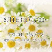 ヒメ日記 2025/05/26 12:54 投稿 うさぎ マットDEY-jo（マット・デ・ワイジョ）