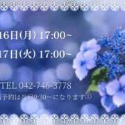 ヒメ日記 2025/06/15 11:06 投稿 うさぎ マットDEY-jo（マット・デ・ワイジョ）