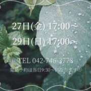 ヒメ日記 2025/06/23 09:05 投稿 うさぎ マットDEY-jo（マット・デ・ワイジョ）