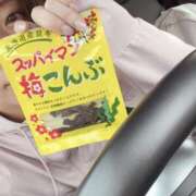 ヒメ日記 2025/06/27 16:44 投稿 うさぎ マットDEY-jo（マット・デ・ワイジョ）