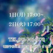 ヒメ日記 2025/06/30 13:38 投稿 うさぎ マットDEY-jo（マット・デ・ワイジョ）