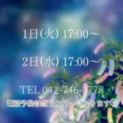 ヒメ日記 2025/06/30 23:51 投稿 うさぎ マットDEY-jo（マット・デ・ワイジョ）