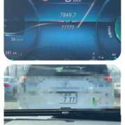 ヒメ日記 2025/07/08 15:50 投稿 うさぎ マットDEY-jo（マット・デ・ワイジョ）