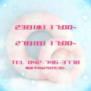 ヒメ日記 2025/07/21 11:45 投稿 うさぎ マットDEY-jo（マット・デ・ワイジョ）