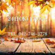 ヒメ日記 2025/09/21 01:19 投稿 うさぎ マットDEY-jo（マット・デ・ワイジョ）