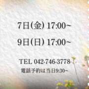 うさぎ 今週の出勤  マットDEY-jo（マット・デ・ワイジョ）