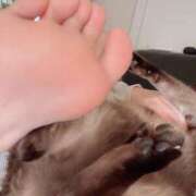 うさぎ 似てる？ マットDEY-jo（マット・デ・ワイジョ）