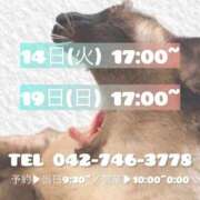 ヒメ日記 2026/07/13 08:37 投稿 うさぎ マットDEY-jo（マット・デ・ワイジョ）