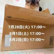 ヒメ日記 2026/07/25 22:47 投稿 うさぎ マットDEY-jo（マット・デ・ワイジョ）