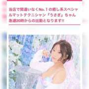 ヒメ日記 2026/08/08 12:47 投稿 うさぎ マットDEY-jo（マット・デ・ワイジョ）