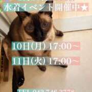 ヒメ日記 2026/08/09 04:53 投稿 うさぎ マットDEY-jo（マット・デ・ワイジョ）