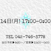 ヒメ日記 2026/09/12 19:40 投稿 うさぎ マットDEY-jo（マット・デ・ワイジョ）