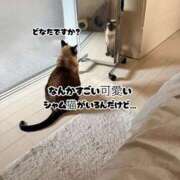 ヒメ日記 2026/09/16 12:04 投稿 うさぎ マットDEY-jo（マット・デ・ワイジョ）