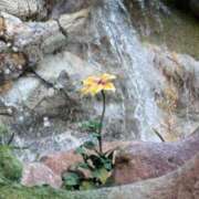 ヒメ日記 2025/08/23 08:59 投稿 なな XSTASY（エクスタシー）