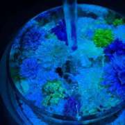 ヒメ日記 2026/04/22 09:59 投稿 なな XSTASY（エクスタシー）