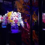 ヒメ日記 2026/05/01 22:59 投稿 なな XSTASY（エクスタシー）