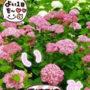 ヒメ日記 2025/07/06 23:26 投稿 古川幾美 五十路マダム 郡山店