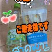 ヒメ日記 2026/04/30 12:00 投稿 古川幾美 五十路マダム 郡山店