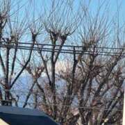 ヒメ日記 2024/12/23 10:43 投稿 ひろこ 五反田・品川おかあさん