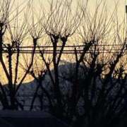 ヒメ日記 2024/12/23 17:13 投稿 ひろこ 五反田・品川おかあさん