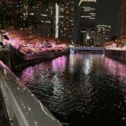 ヒメ日記 2024/12/24 11:43 投稿 ひろこ 五反田・品川おかあさん