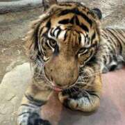 ヒメ日記 2025/01/07 15:23 投稿 ひろこ 五反田・品川おかあさん