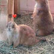 ヒメ日記 2025/01/17 10:23 投稿 ひろこ 五反田・品川おかあさん