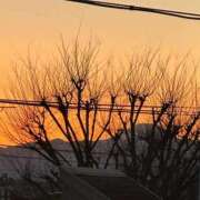 ヒメ日記 2025/01/26 17:33 投稿 ひろこ 五反田・品川おかあさん