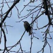 ヒメ日記 2025/02/03 09:03 投稿 ひろこ 五反田・品川おかあさん