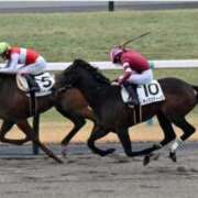 ヒメ日記 2025/02/17 13:13 投稿 ひろこ 五反田・品川おかあさん