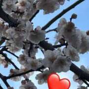 ヒメ日記 2025/02/18 14:55 投稿 ひろこ 五反田・品川おかあさん