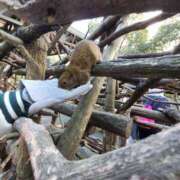 ヒメ日記 2025/02/20 10:03 投稿 ひろこ 五反田・品川おかあさん