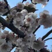 ヒメ日記 2025/02/21 10:43 投稿 ひろこ 五反田・品川おかあさん