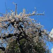 ヒメ日記 2025/02/28 09:53 投稿 ひろこ 五反田・品川おかあさん