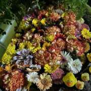 ヒメ日記 2025/03/04 10:23 投稿 ひろこ 五反田・品川おかあさん