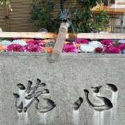 ヒメ日記 2025/03/07 09:23 投稿 ひろこ 五反田・品川おかあさん