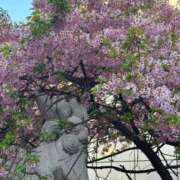 ヒメ日記 2025/03/24 00:43 投稿 ひろこ 五反田・品川おかあさん