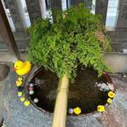 ヒメ日記 2025/03/24 12:04 投稿 ひろこ 五反田・品川おかあさん