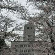 ヒメ日記 2025/03/30 11:43 投稿 ひろこ 五反田・品川おかあさん