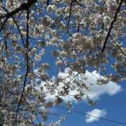 ヒメ日記 2025/04/05 11:43 投稿 ひろこ 五反田・品川おかあさん